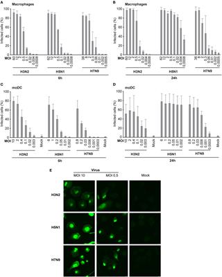 Highly Pathogenic H5N1 Influenza A Virus Spreads Efficiently in Human Primary Monocyte-Derived Macrophages and Dendritic Cells